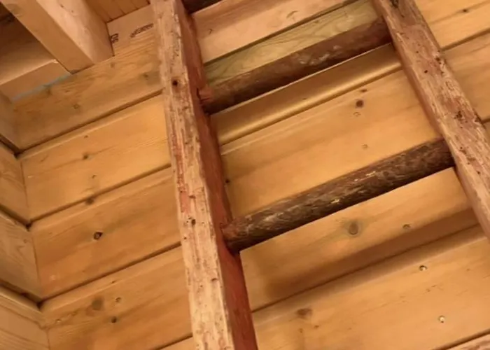 بيت للعطل Neds Barn *
